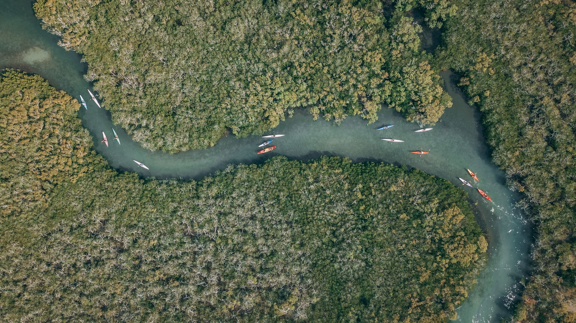 Aerial view of kayakers paddling through a winding river surrounded by dense green forest.