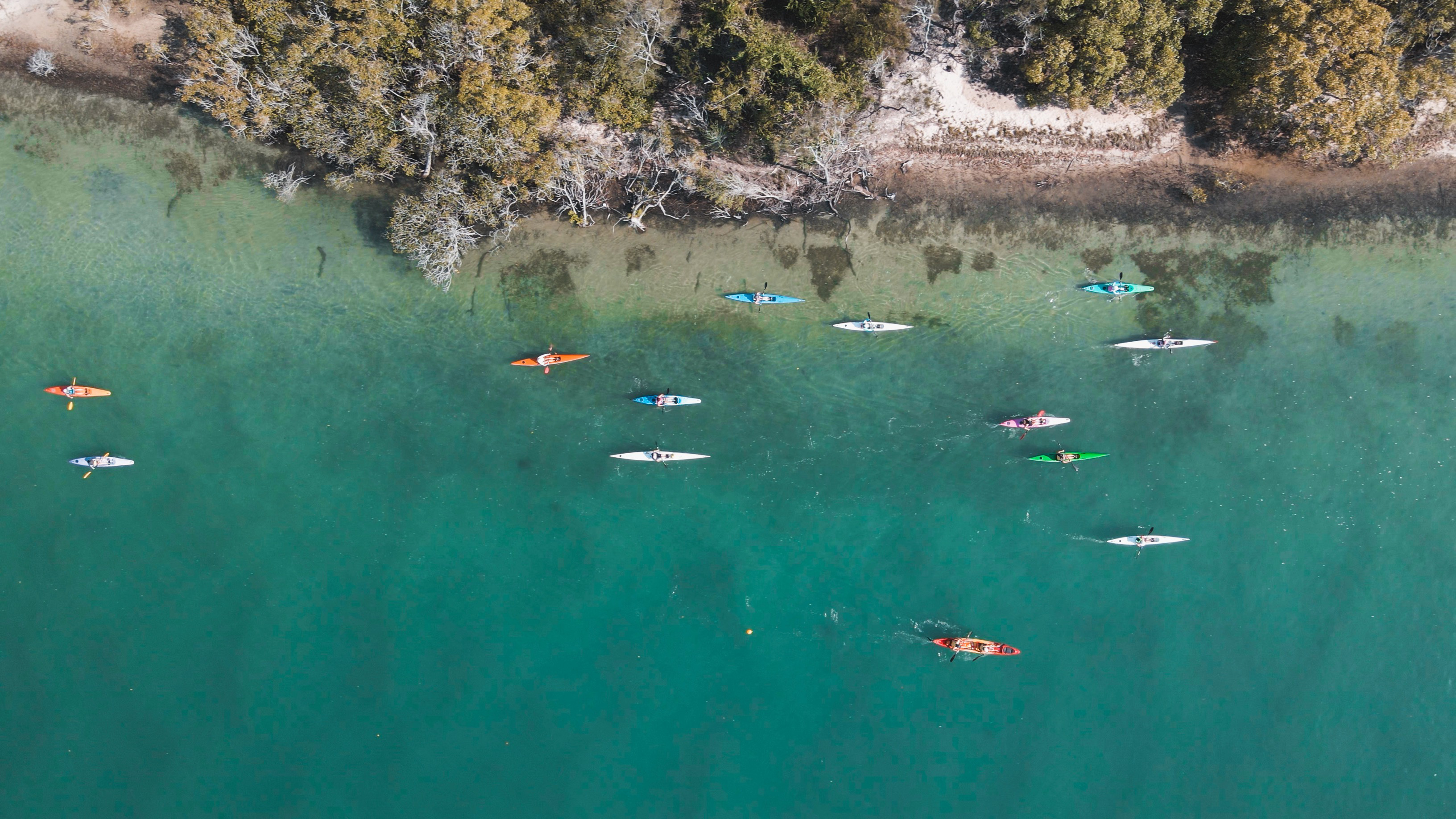 Aerial view of kayakers on clear green water near a forested shoreline.