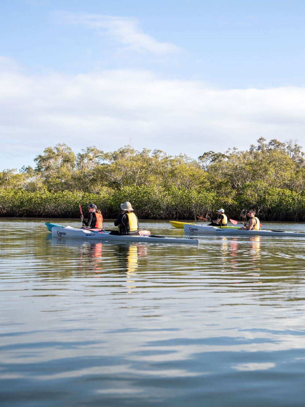 Group kayaking on calm water with trees in the background.